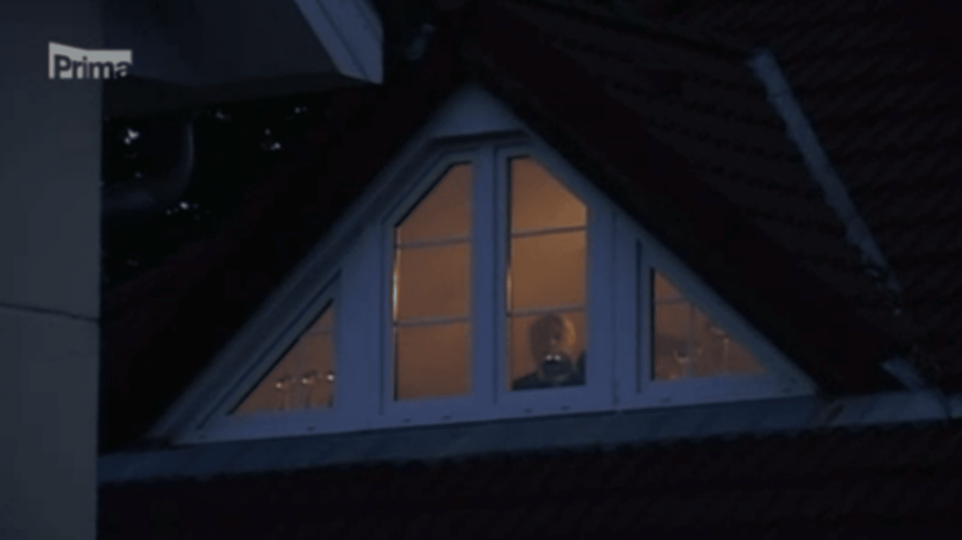 Video VIP zprávy: Josef Rychtář kontroluje noční pohyb před domem