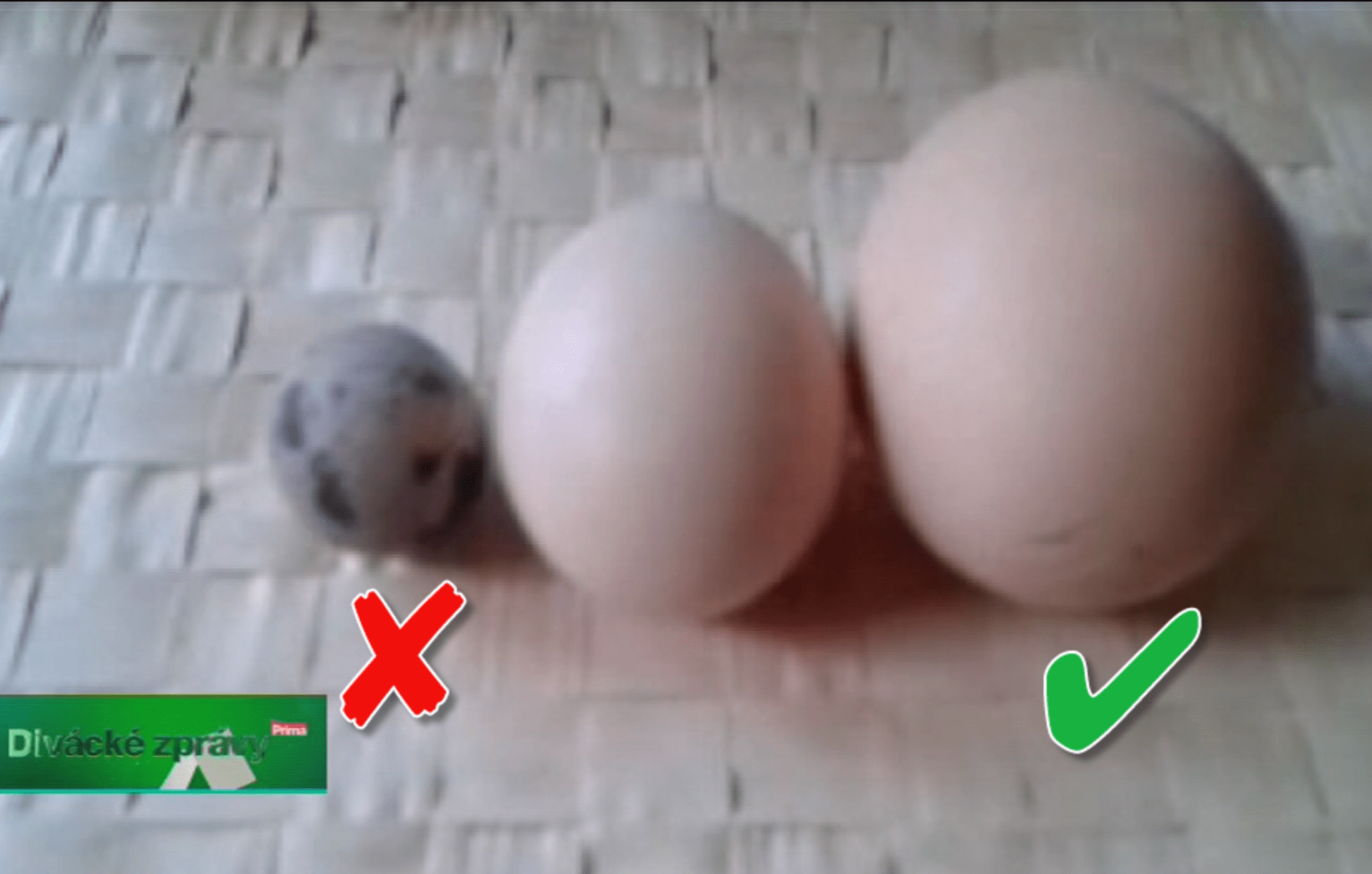 video Divácké zprávy: Není vejce jako vejce. Které si chcete vykoledovat na Velikonoce vy?