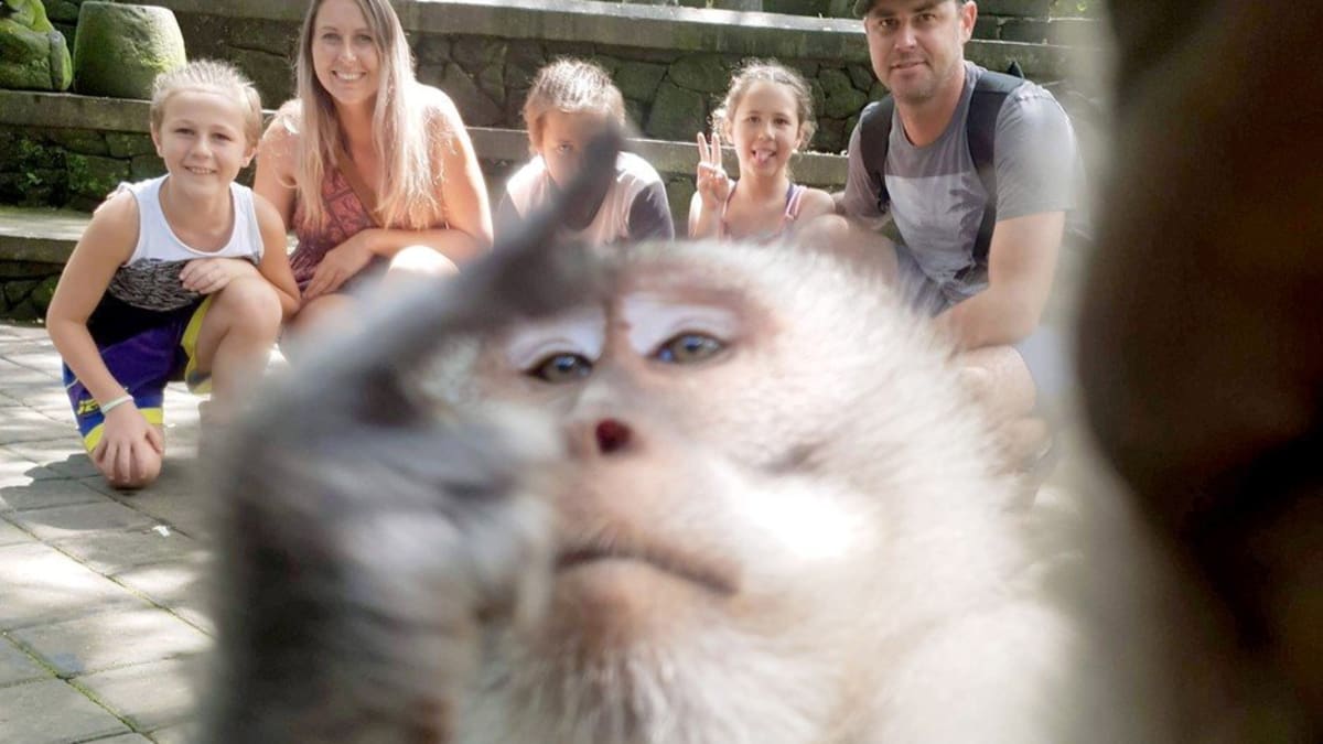 Drzá opice vystrčila na rodinné fotografii prostředníček 1