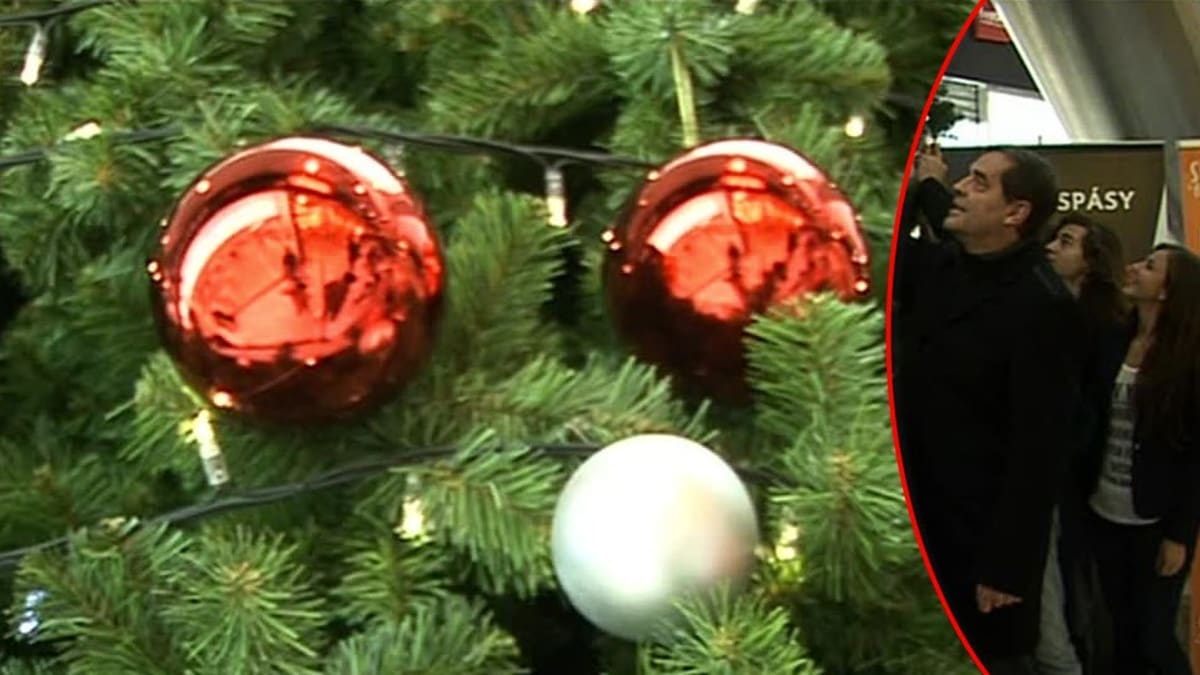 video VIP zprávy: První vánoční strom už svítí
