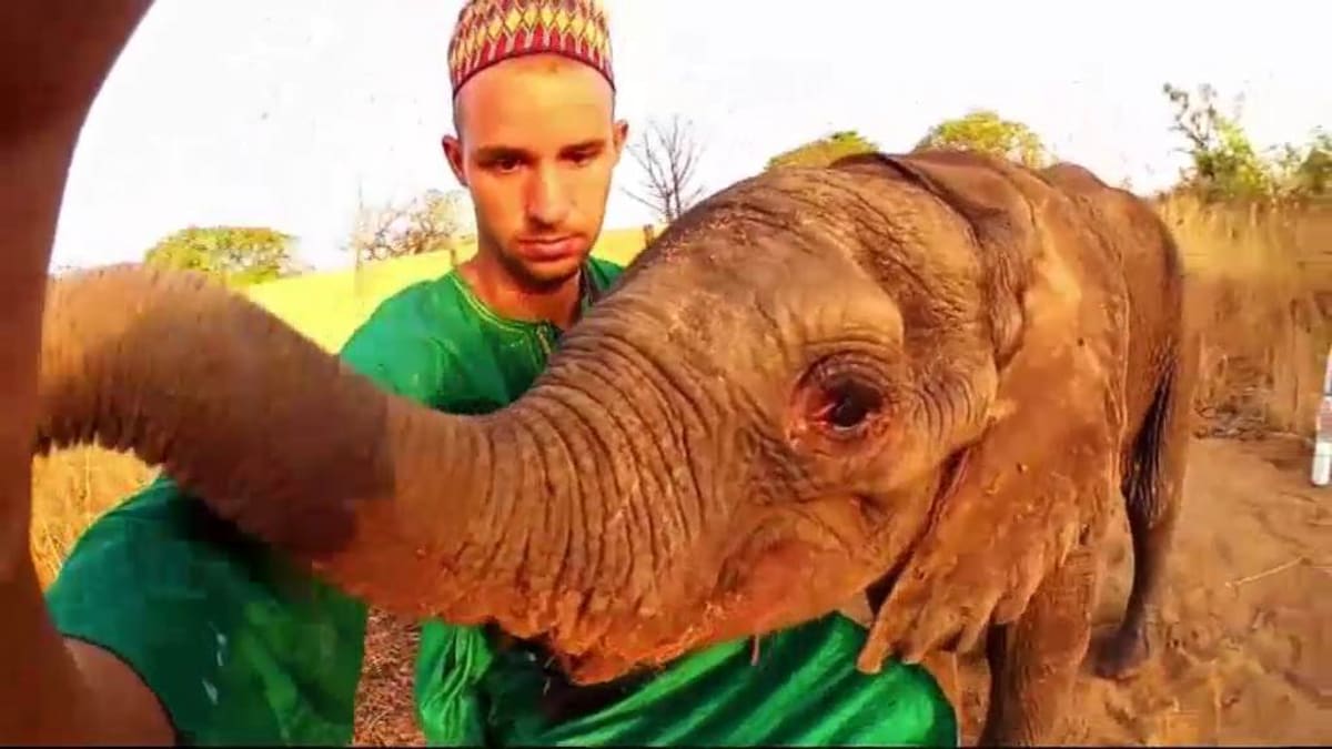 Prima SVĚT: Tento mladý český přírodovědec se rozhodl sám bojovat proti zabíjení slonů
