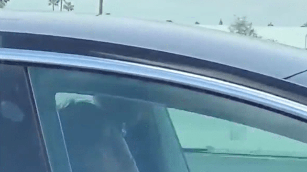 Muž usnul za jízdy v autě 2