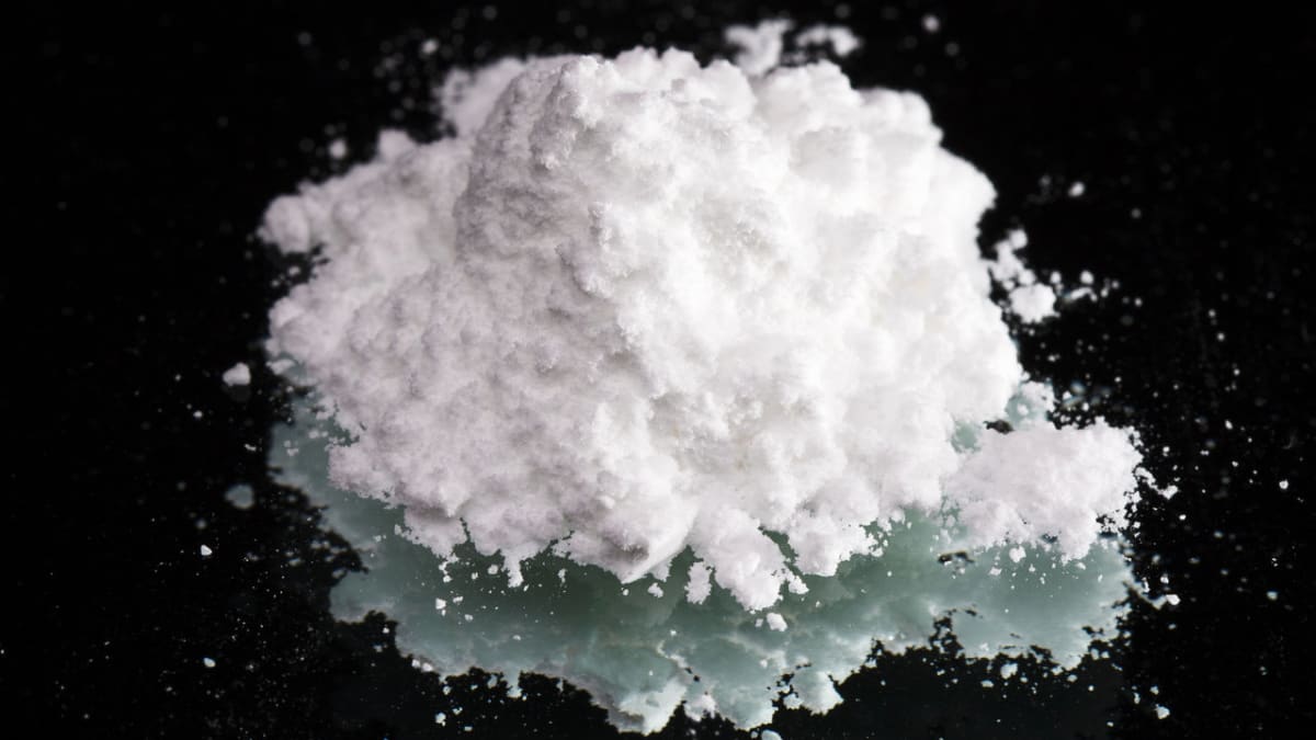Do společnosti dorazil kokain v hodnotě 50 mil. korun