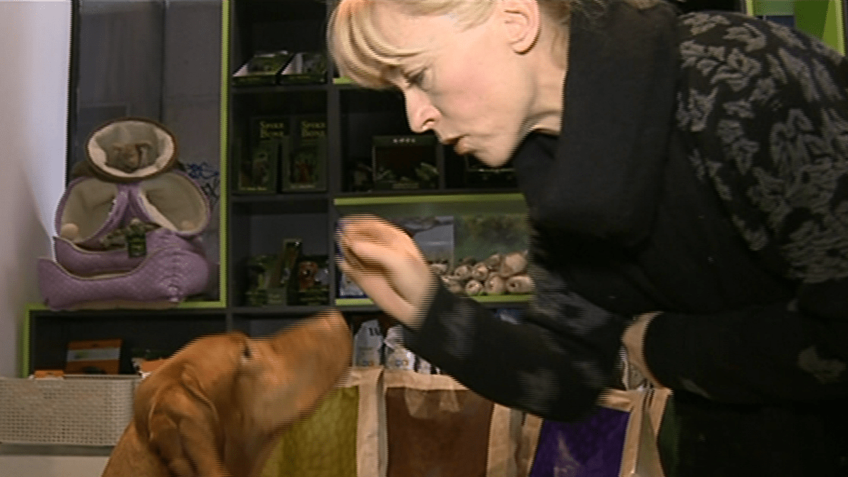 Video VIP zprávy: Herečka Dana Batulková se odstěhovala zpátky na rodný statek. A pořídila si psy!