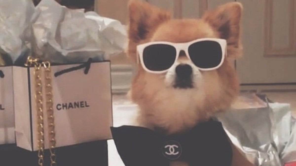 Chanel je má oblíbená značka.