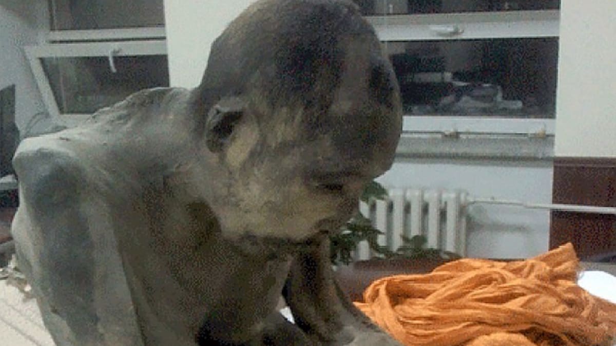 Mumifikovaný budhistický mnich zemřel před 200 lety.