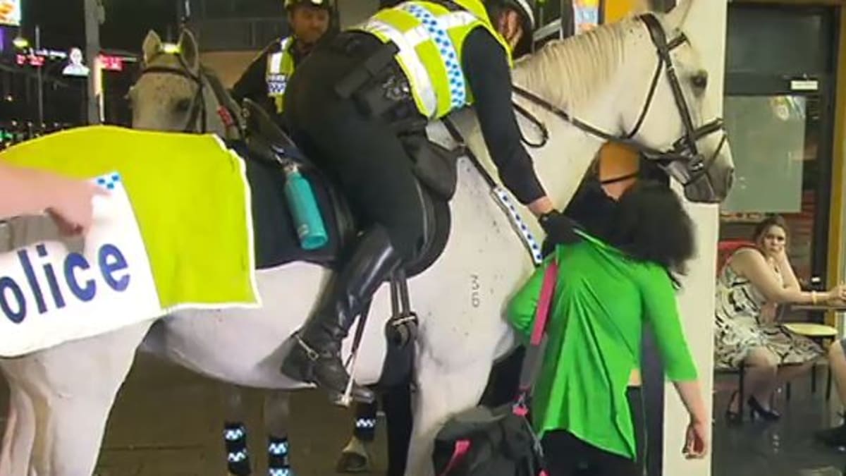 Žena udeřila koně a policistka ji srazila k zemi