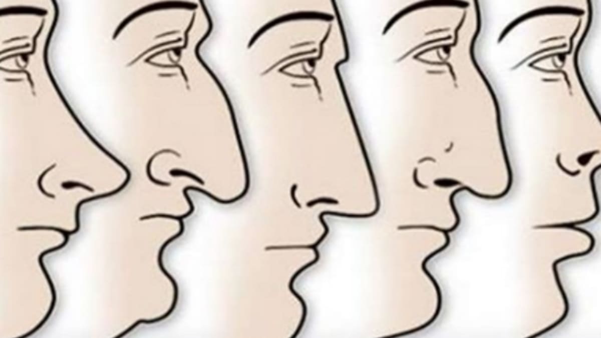 Podle tvaru nosů poznáte, jaký jste.
