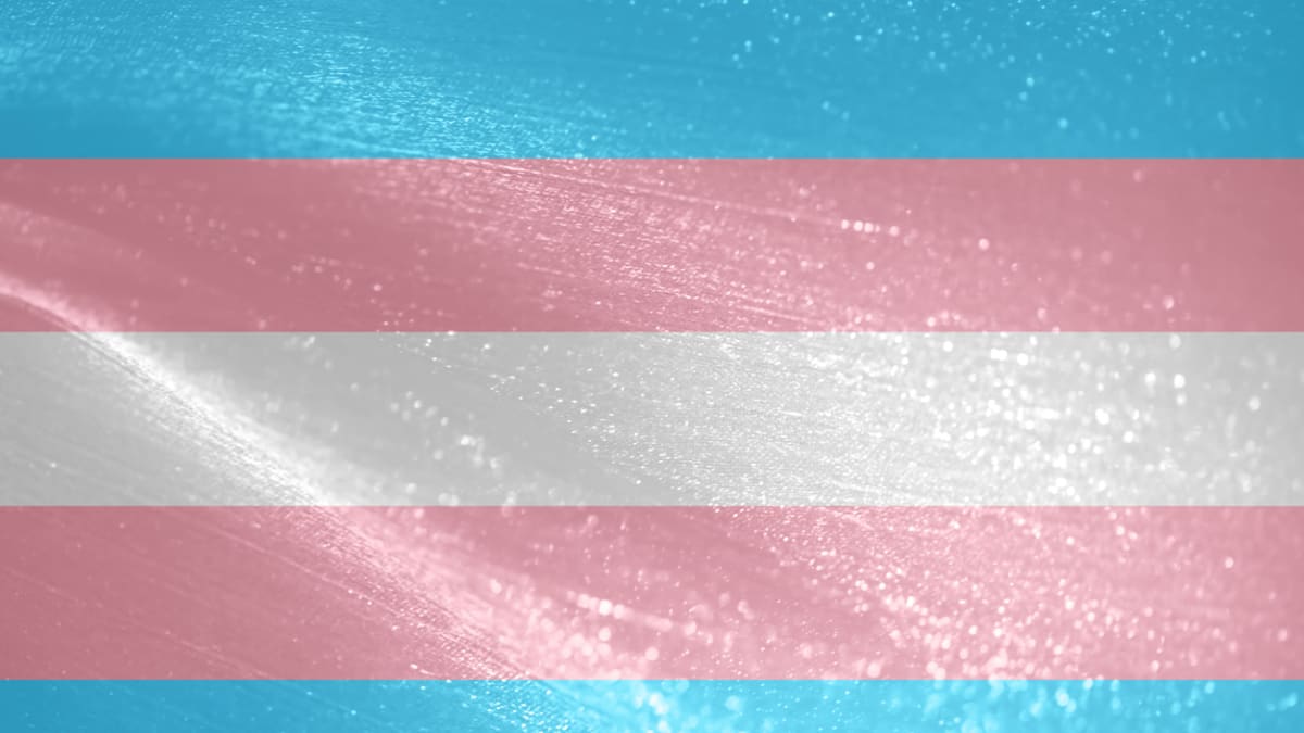 Transgender vlajka
