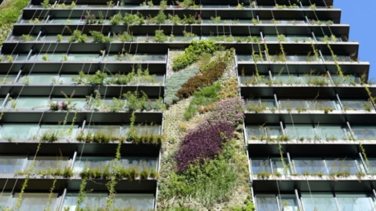 Vertikální zahrada rozkvetla na budově Central Park v Sydney