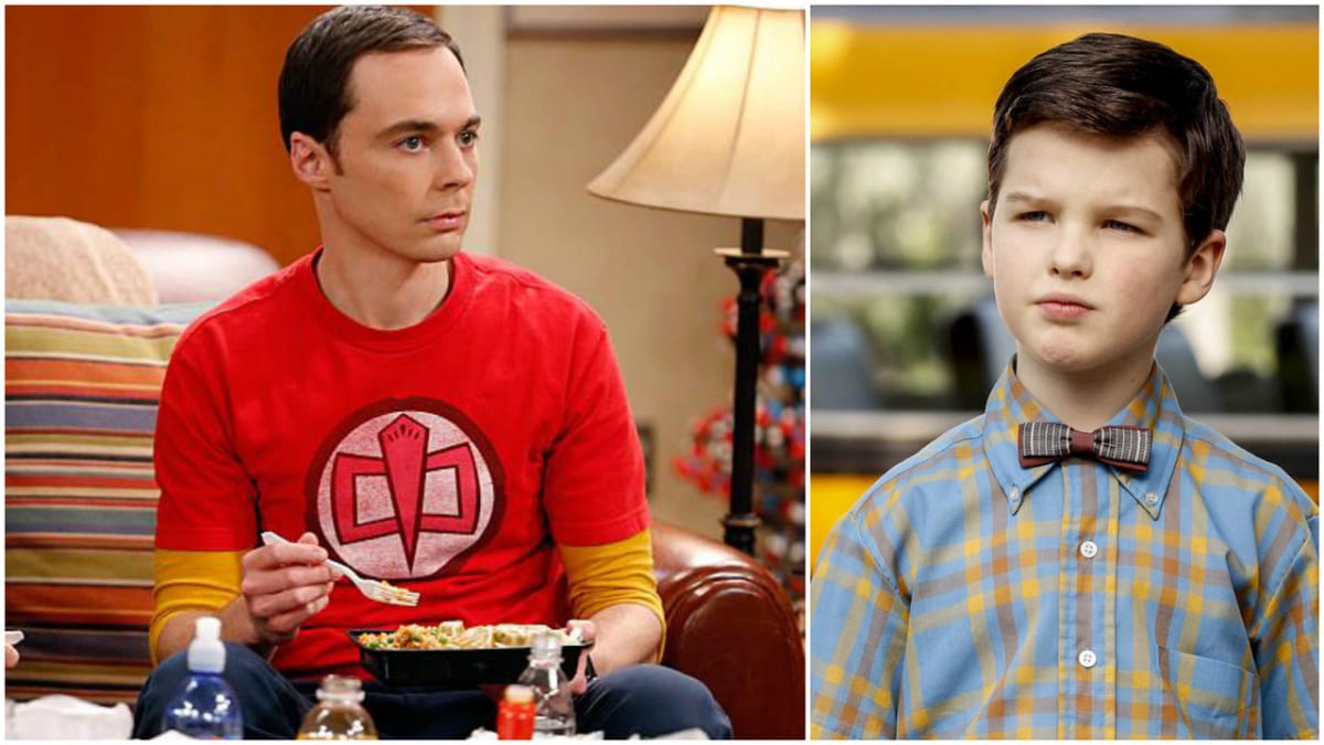 Sheldon vs. Sheldon