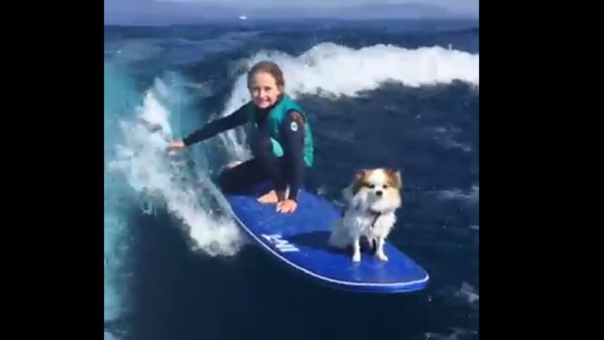 Dívka surfuje vždy se svým psem