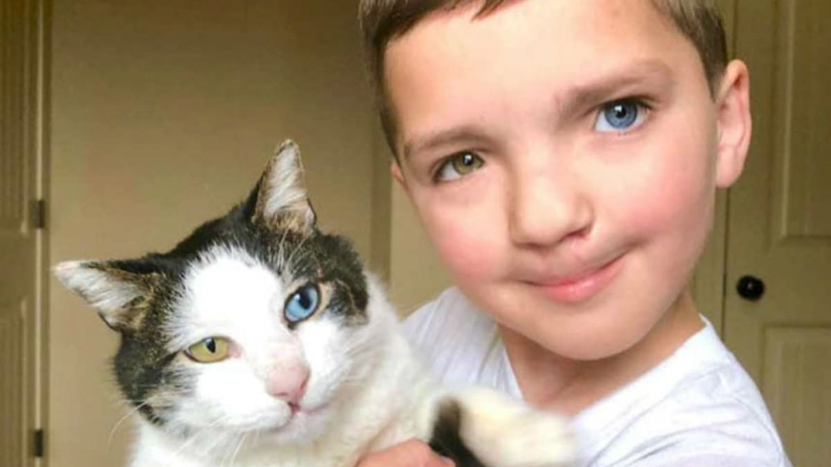 Nádherný příběh chlapce a kočky dojímá internet