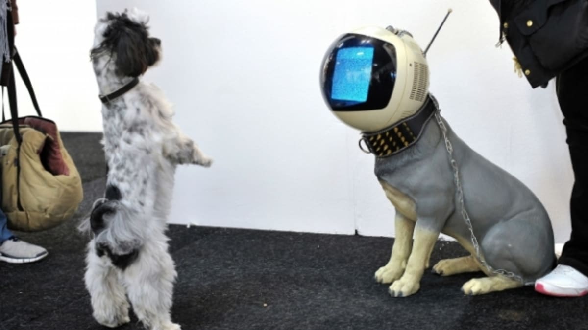 Psi na výstavě obdivovali robotického kamaráda