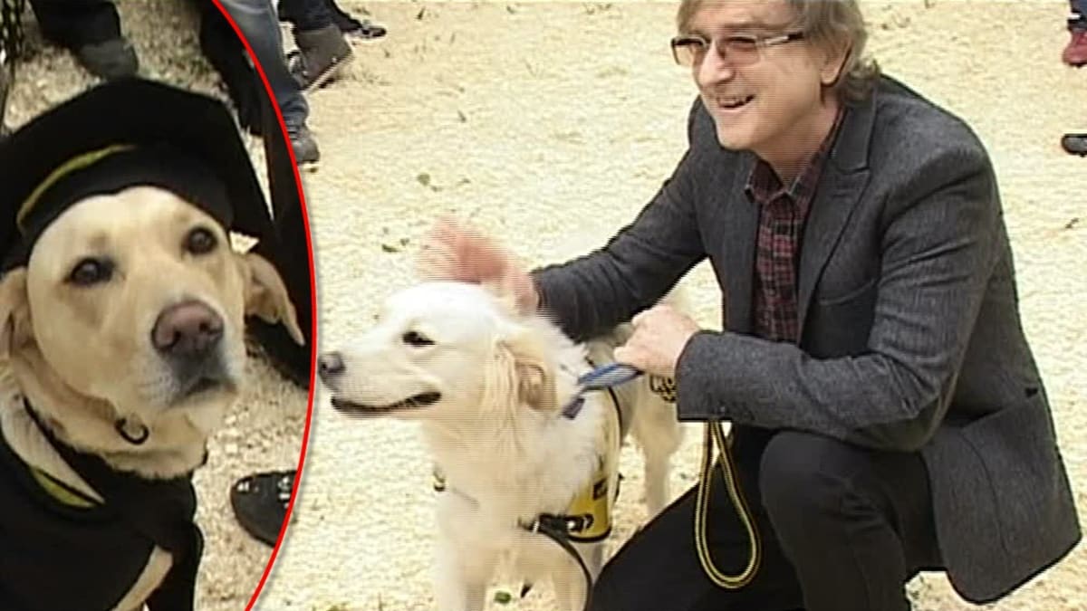 Video VIP zprávy: Jak přišel Miro Žbirka ke svému psovi? Jako slepý k houslím!
