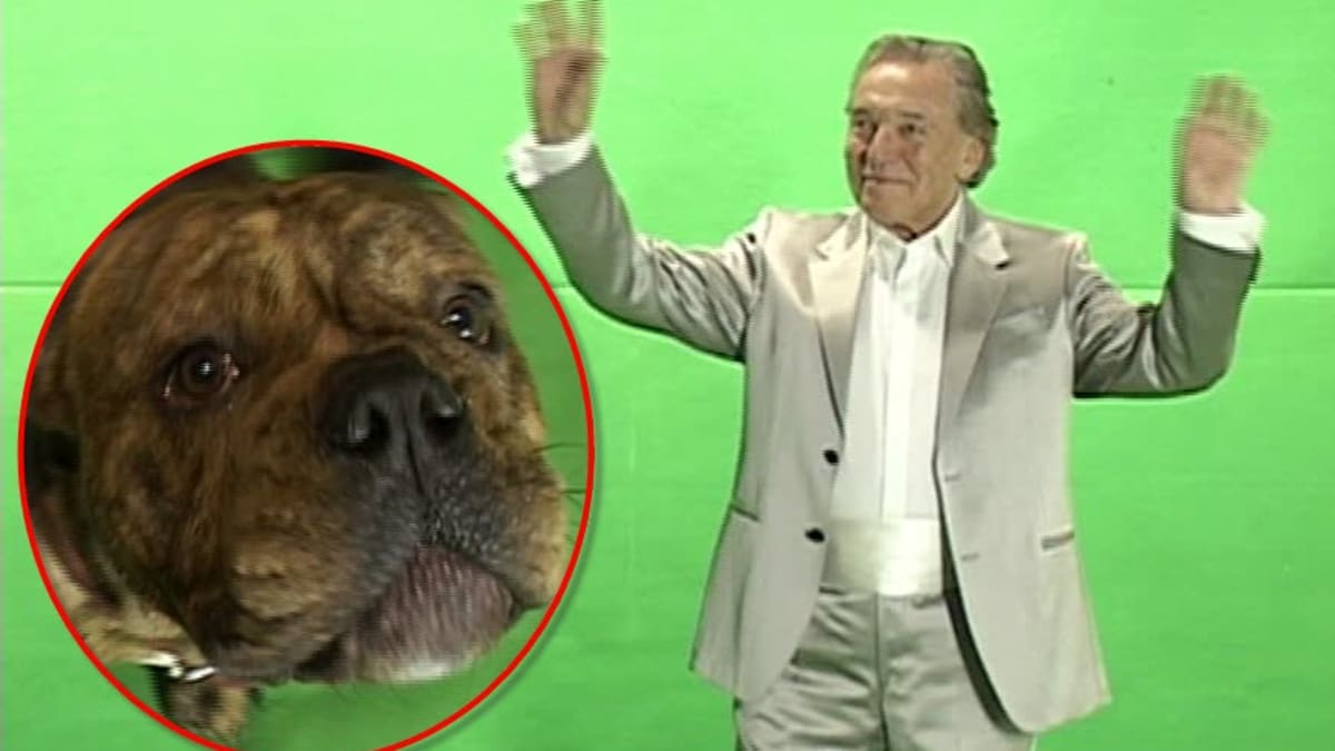 Video VIP zprávy: Karel Gott na to nevypadá, ale je ovládán tínto psem. Tedy... mediálně určitě!