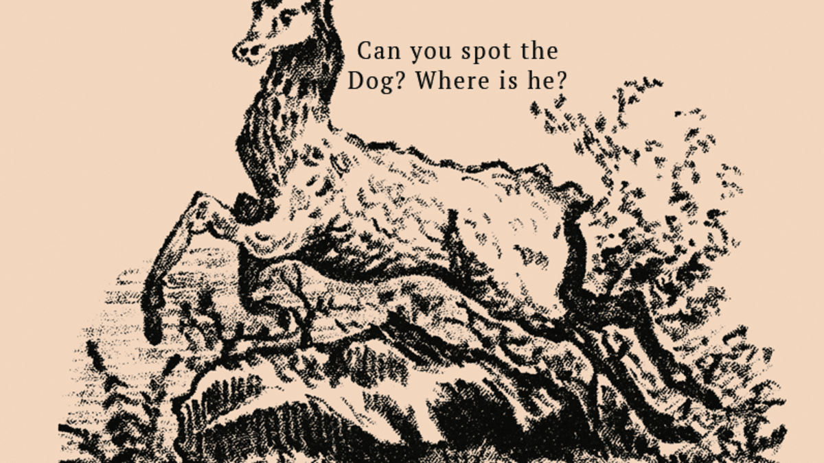 Najdete na obrázku ukrytého psa?