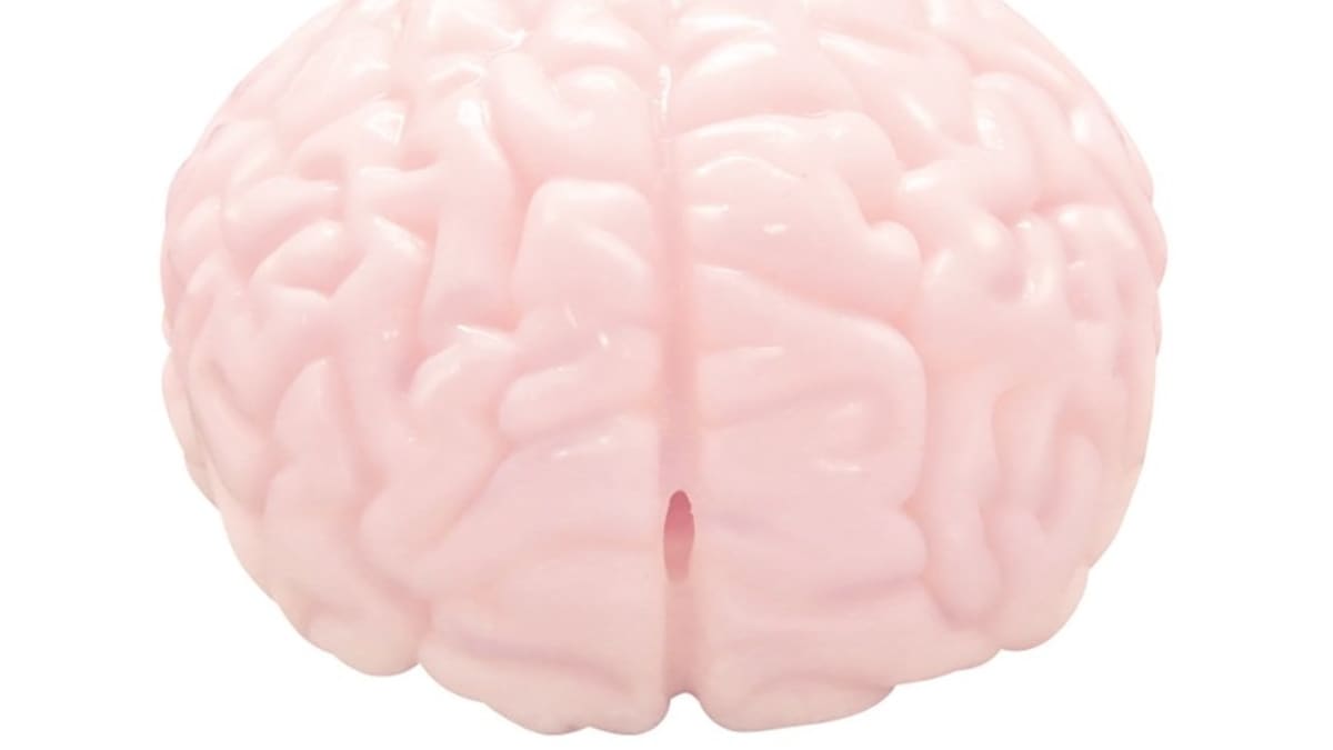 Sexuální hračka ve tvaru mozku. 4