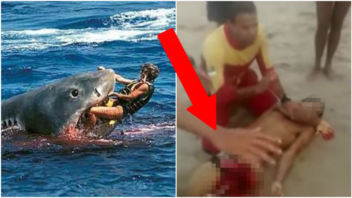 Brutální napadení žralokem 1