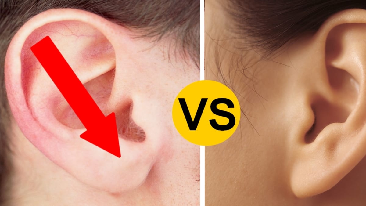 Co o vás prozradí vaše ucho?
