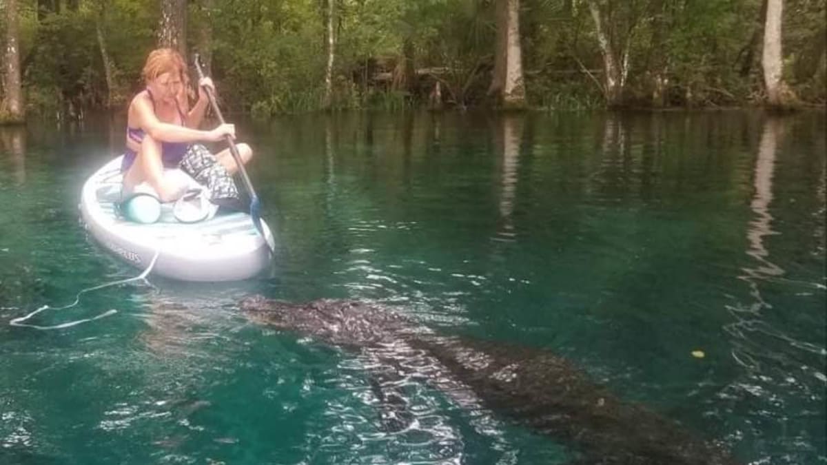 Žena z Floridy se musela bránit pádlem proti aligátorovi 1