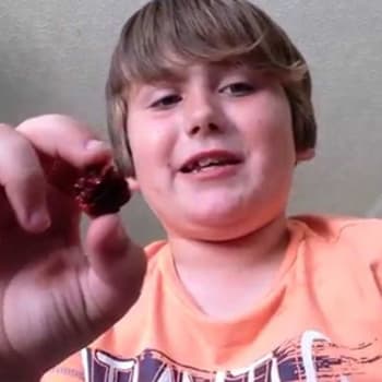 9letý chlapec snědl nejpálivější chilli papričku