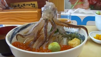 Video! Chobotnice se začne hýbat na talíři poté, co byla měsíce v mrazáku!