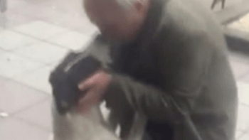 VIDEO: Muž našel na ulici ztraceného psa, kterého hledal tři roky. Jejich srdceryvné setkání vás dojme k slzám
