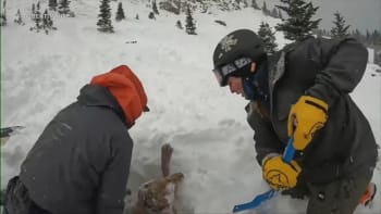 VIDEO: Dramatická záchrana psa uvězněného pod lavinou! Z těchto záběrů vám bude běhat mráz po zádech