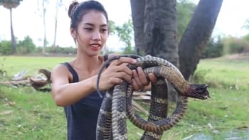 VIDEO 18+: Nejnechutnější youtuberka světa! Žena jí před kamerou ohrožené druhy zvířat. Vážně tohle ještě patří na internet?