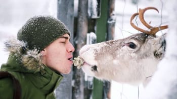 Mladý finský fotograf pořídil rozkošné snímky divoké zvěře ve volné přírodě