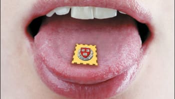 Nová studie ukázala: LSD k snídani z vás udělá lepšího člověka!