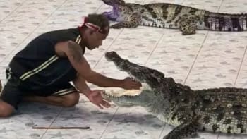 VIDEO: Týpek strčil krokodýlovi ruku do tlamy! Tyto krvavé záběry nikoho nepřekvapí