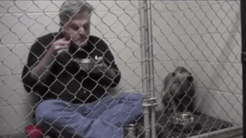 VIDEO: Muž se nechal zavřít do klece s týraným psem. Dojemný výsledek vás zaručeně ohromí!