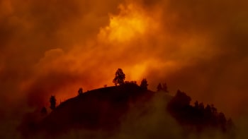 VIDEO: Záběry z vesmíru ukazují děsivý rozsah australských požárů! Jak masivní je zasažená oblast?