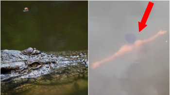 VIDEO: Šaman skočil do jezera plného krokodýlů, aby dokázal, že nad nimi má moc. Sežrali ho!