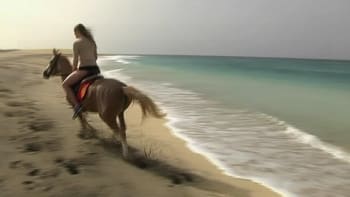 Největší romantika? Pláž, šumění moře… a cválající kůň