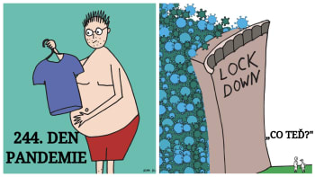 GALERIE: 25 humorných ilustrací, které ukazují, jak se náš život změnil v době pandemie