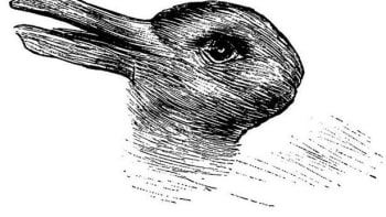 FOTO: Vidíte kachnu, nebo králíka? Optická iluze o vás vypovídá, že...