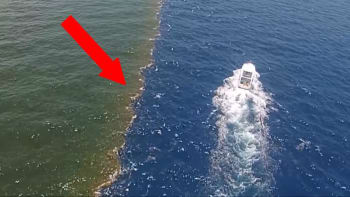 VIDEO: Záběry viditelné hranice mezi dvěma oceány ohromily internet. Jak je možné, že se nemísí jejich voda?