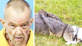 Muž byl obviněn za znásilňování aligátora, kterého uchovával na zahradě. Chtěl mu "oplatit" napadení