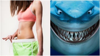 GALERIE: 10 zábavných faktů, které jste nevěděli o vaginách! Co mají společné vaginy a žraloci?