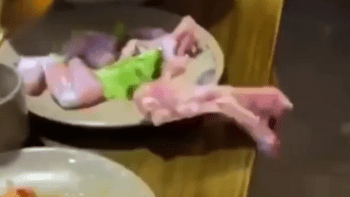 VIDEO: Humus! Ženě vyskočil v asijské restauraci kus syrového masa z talíře! Po tomhle vás přejde chuť k jídlu