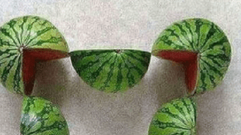 ŘEŠENÍ obrázku s melouny. Jací jste?
