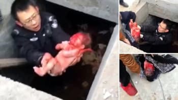 VIDEO: Novorozenec zachráněn z jímky pár sekund před smrtí!