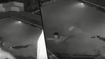 VIDEO: Krokodýl napadl pár v jejich vlastním bazénu! Po tomhle už si v noci zaplavat nepůjdete
