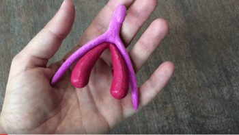 VIDEO: Učitelé mají novou pomůcku na sexuální výchovu z 3D tiskárny! Poznáte, co to je a k čemu to slouží?