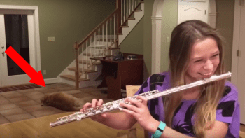 VIDEO: Dívka se snažila hrát na flétnu. Reakce jejího psa rozsekala celý internet!
