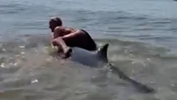 Ženu vyšetřuje policie poté, co byla natočena, jak leze na delfína. Jaký trest jí za to hrozí?