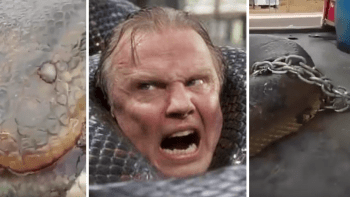 VIDEO: Největší had je jako z hororu… Tenhle macek by vás sežral i s celou rodinou!